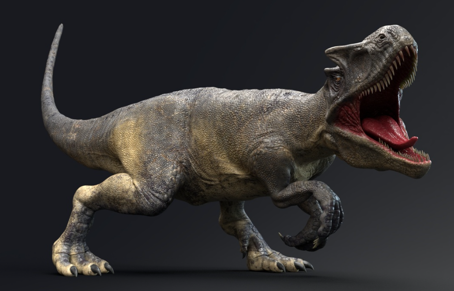Allosaurus