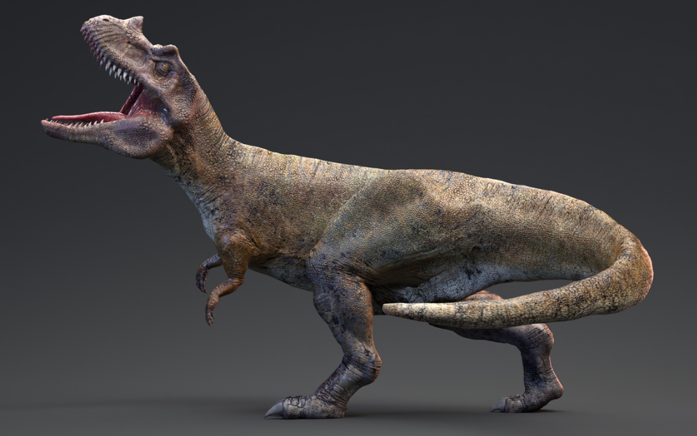 Ceratosaurus