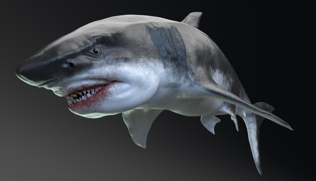 Megalodon