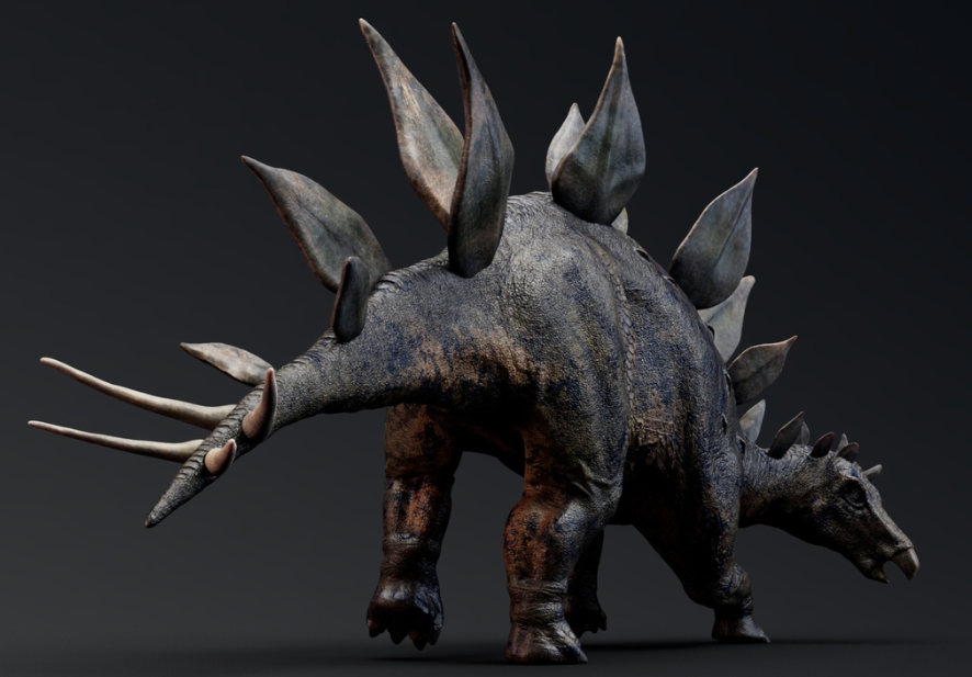 Stegosaurus